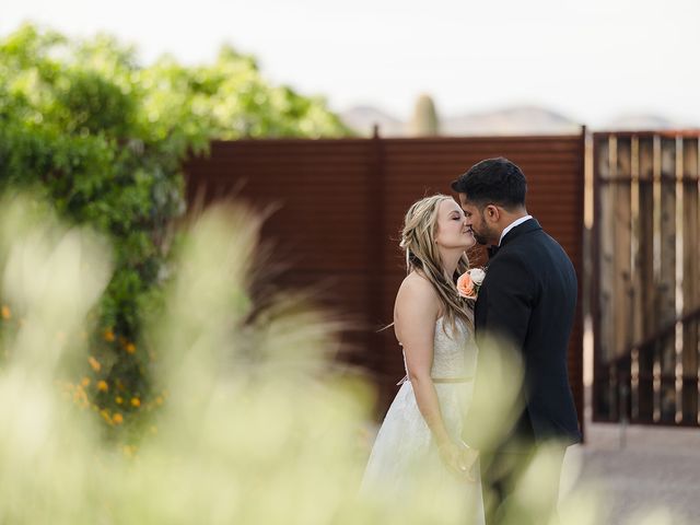 Sandeep and Brittany&apos;s Wedding in Apache Junction, Arizona 63