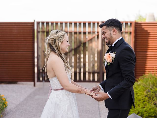 Sandeep and Brittany&apos;s Wedding in Apache Junction, Arizona 64