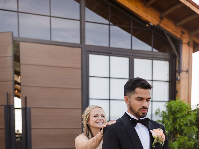 Sandeep and Brittany&apos;s Wedding in Apache Junction, Arizona 66