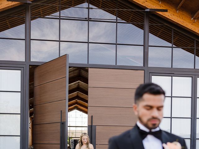 Sandeep and Brittany&apos;s Wedding in Apache Junction, Arizona 67