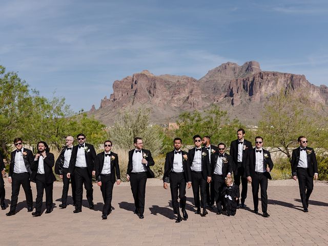 Sandeep and Brittany&apos;s Wedding in Apache Junction, Arizona 69