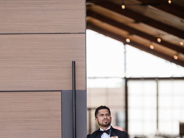Sandeep and Brittany&apos;s Wedding in Apache Junction, Arizona 72