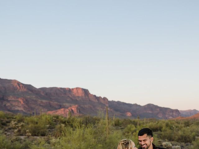 Sandeep and Brittany&apos;s Wedding in Apache Junction, Arizona 99