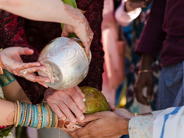 Sandeep and Brittany&apos;s Wedding in Apache Junction, Arizona 111