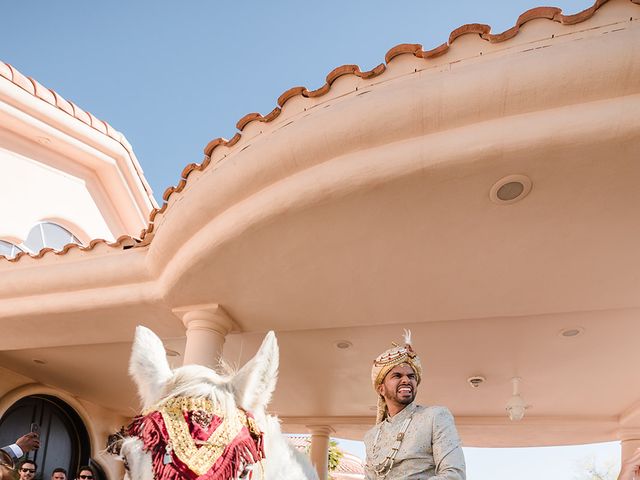 Sandeep and Brittany&apos;s Wedding in Apache Junction, Arizona 135