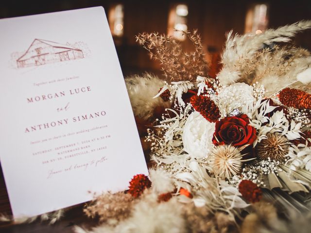 Anthony and Morgan's Wedding in Forestville, New York 42
