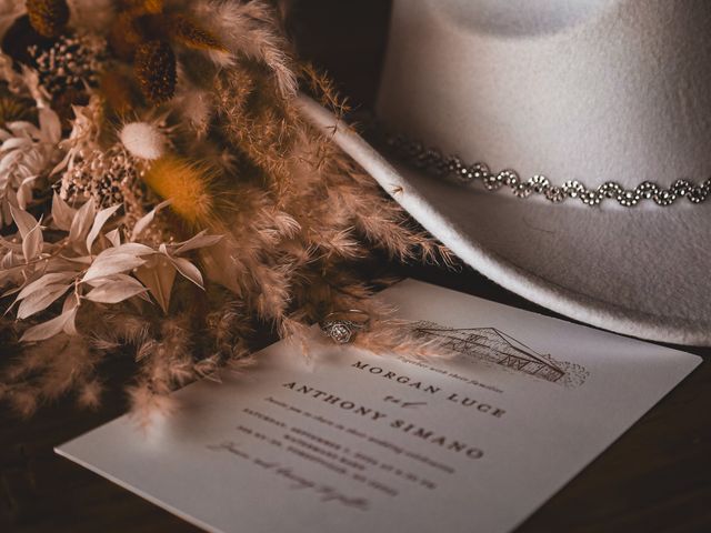 Anthony and Morgan's Wedding in Forestville, New York 54