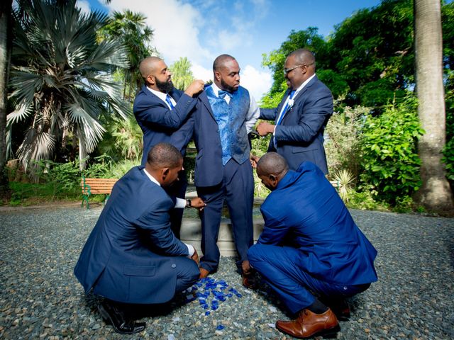 Andie-Len and Bria&apos;s Wedding in Tortola, British Virgin Islands 19