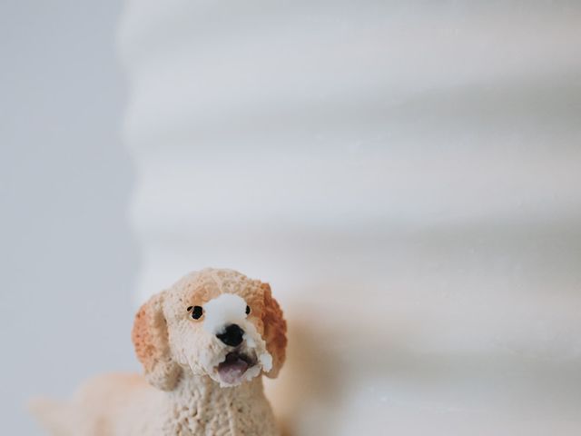 Tate and Clarissa's Wedding in San Marcos, Texas 17
