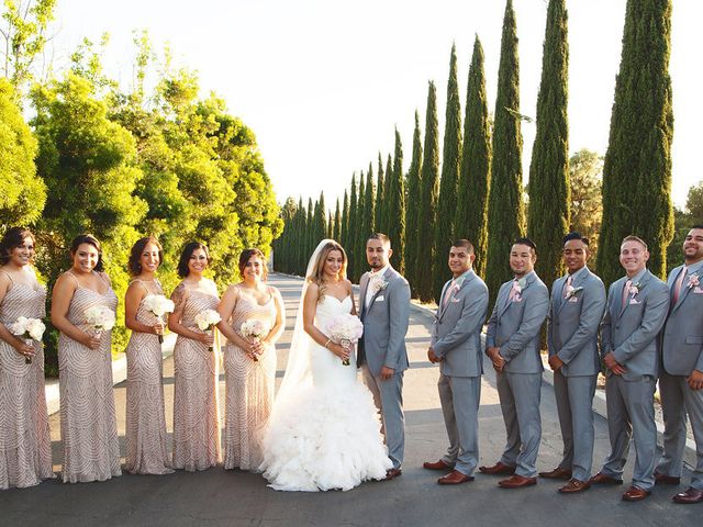 Jessica and David&apos;s Wedding in San Diego, California 9