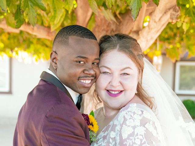 Darrien and Abbigail&apos;s Wedding in Apple Valley, California 8