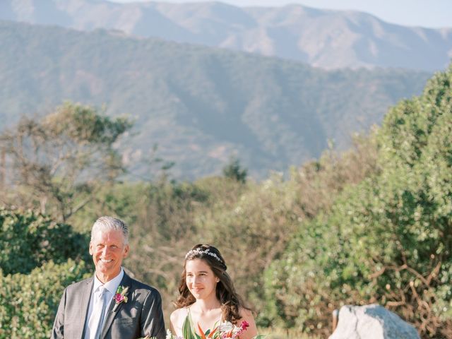 Mitchell and Kinsey&apos;s Wedding in Carpinteria, California 6