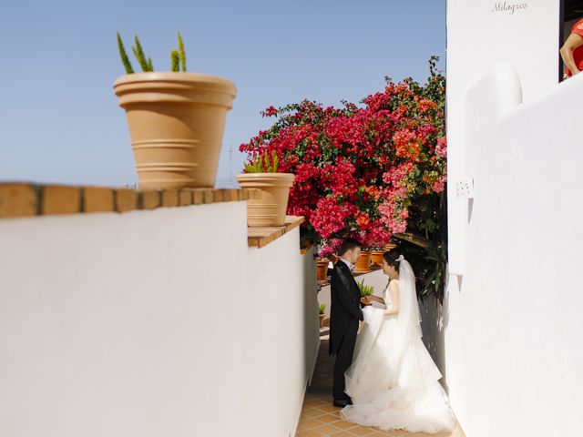 James and Paolina&apos;s Wedding in Puerto Vallarta, Mexico 17