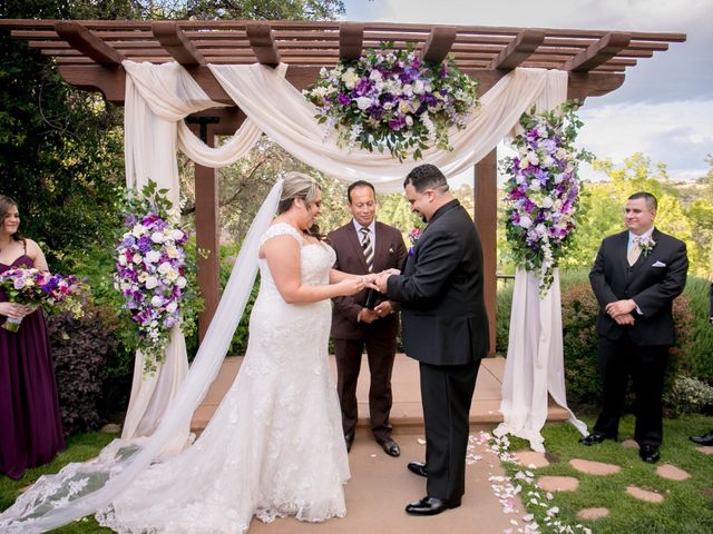 Adrian and Ellie&apos;s Wedding in Lincoln, California 13