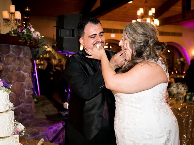 Adrian and Ellie&apos;s Wedding in Lincoln, California 16