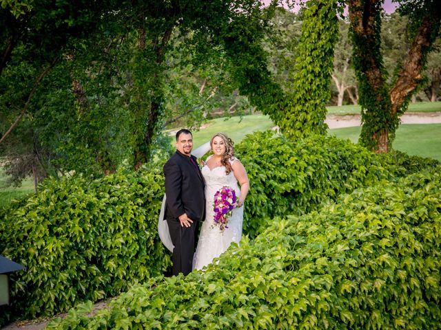Adrian and Ellie&apos;s Wedding in Lincoln, California 19