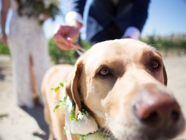 Will and Chelsea&apos;s Wedding in Paso Robles, California 11