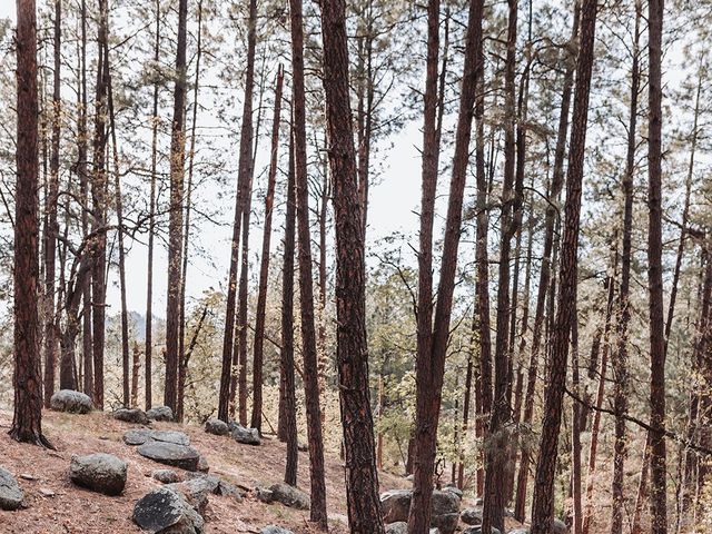 Alex and Genevieve's Wedding in Prescott, Arizona 6