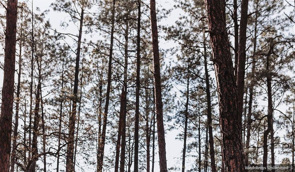 Alex and Genevieve's Wedding in Prescott, Arizona