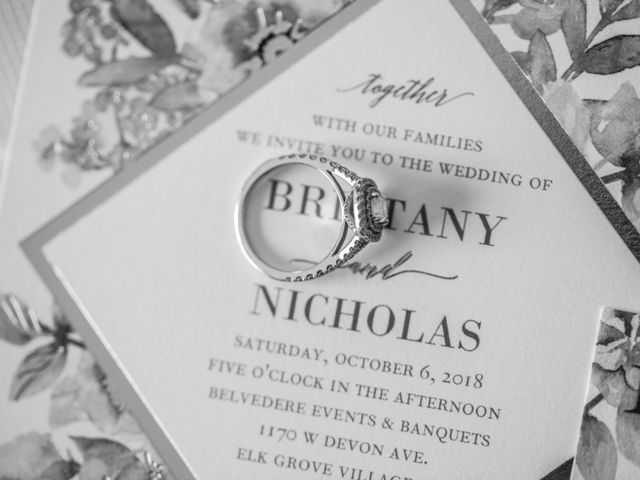 Brittany and Nicholas&apos;s Wedding in Elk Grove Village, Illinois 60