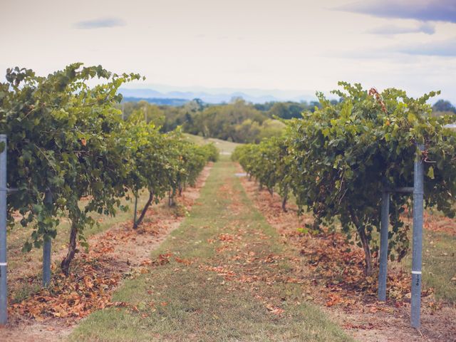 Whitney and Sebastian&apos;s Wedding in Sweetwater, Tennessee 5