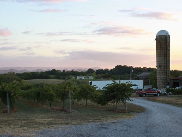 Whitney and Sebastian&apos;s Wedding in Sweetwater, Tennessee 20