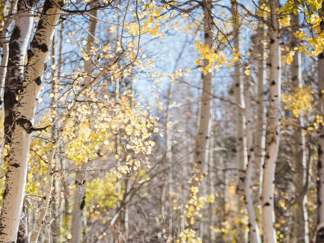 David and Sadie&apos;s Wedding in Buena Vista, Colorado 8