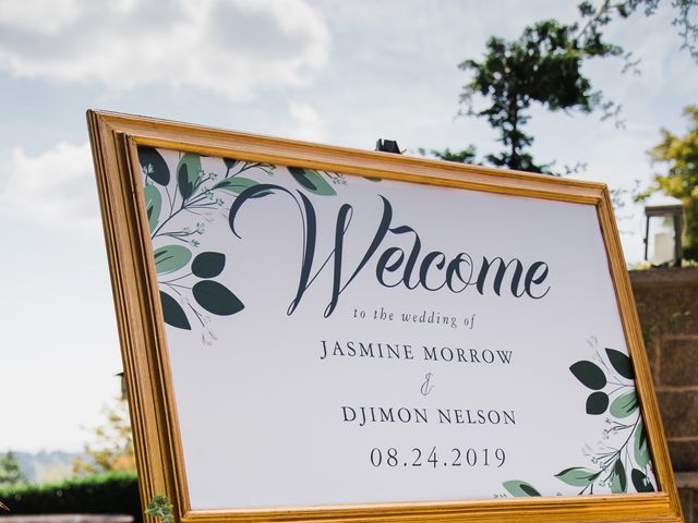 Djimon and Jasmine&apos;s Wedding in Duvall, Washington 5