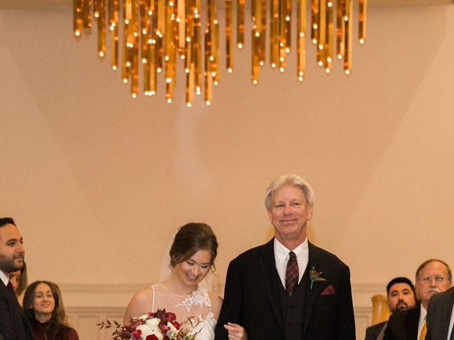 Brian and Emily&apos;s Wedding in Chicago, Illinois 19
