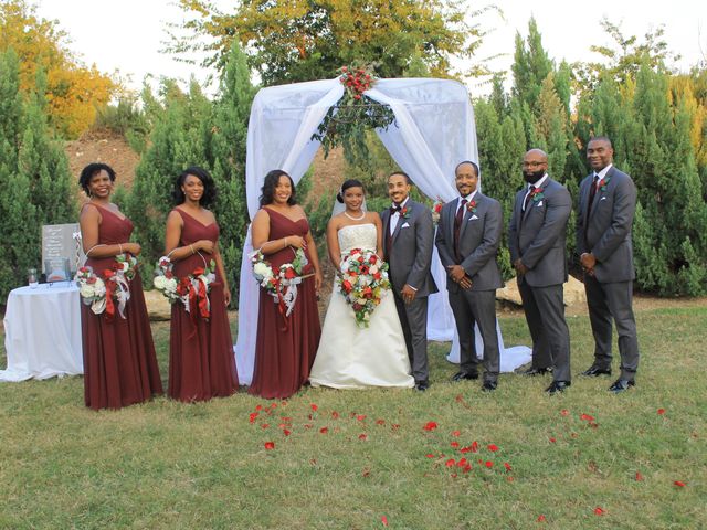 Gregory and Tarsha's Wedding in Dallas, Texas 7