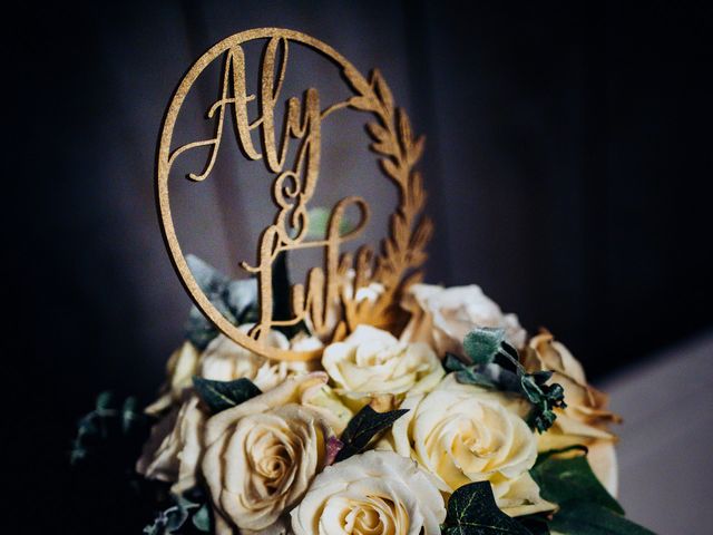Luke and Aly's Wedding in Highland, New York 3