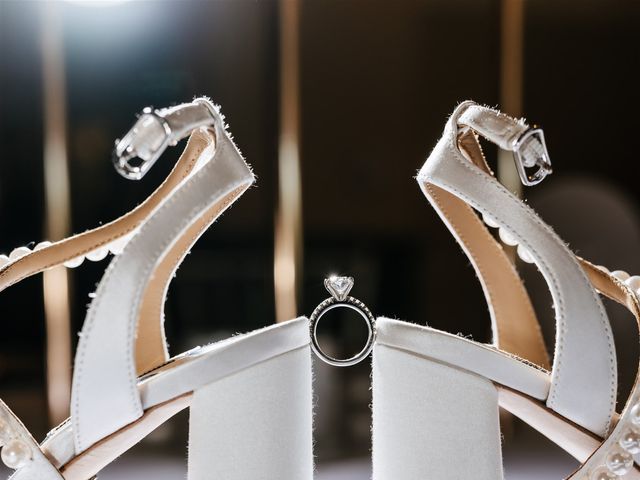 Joseph and Atalie's Wedding in Itasca, Illinois 66