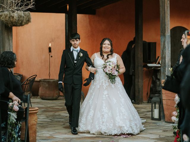 David and Amanda's Wedding in Katy, Texas 2
