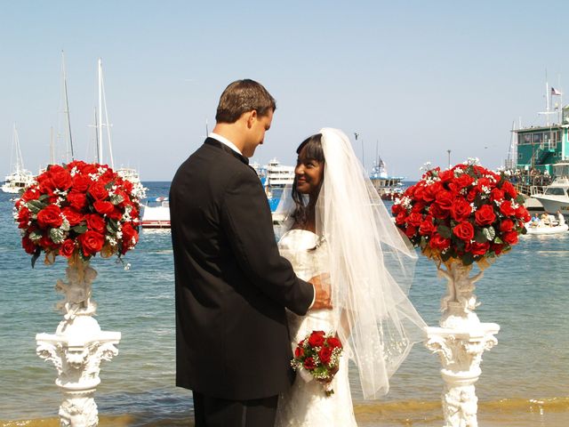 Todd and Renata&apos;s Wedding in Avalon, California 13