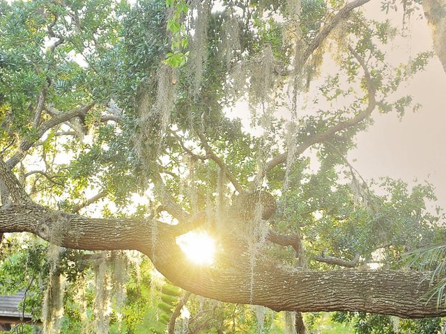 Cody and Mandy&apos;s Wedding in Port Orange, Florida 6