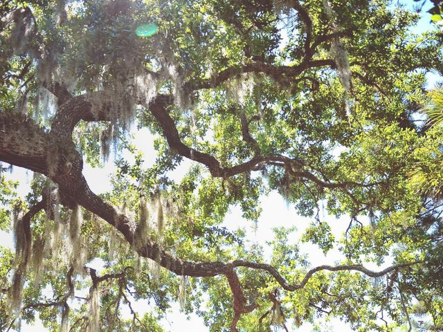 Cody and Mandy&apos;s Wedding in Port Orange, Florida 17