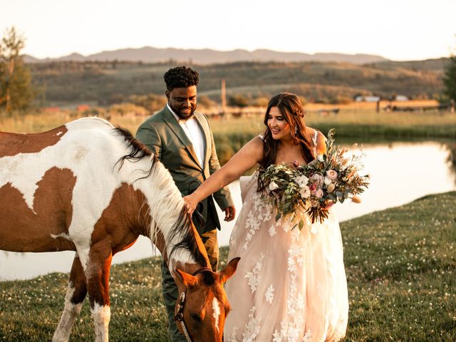 Drae and Brianna&apos;s Wedding in Moran, Wyoming 66