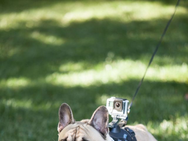 Anna and Rodney&apos;s Wedding in Sonoma, California 8