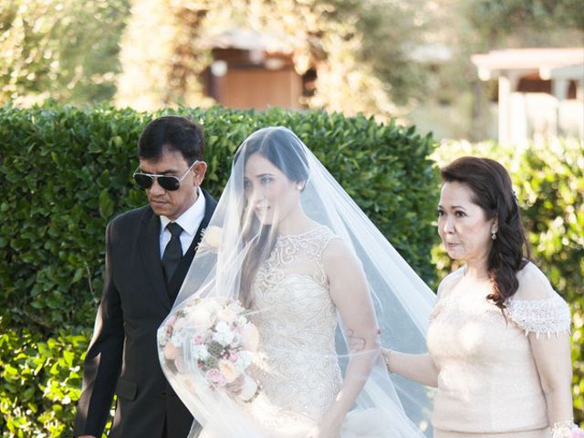 Anna and Rodney&apos;s Wedding in Sonoma, California 12
