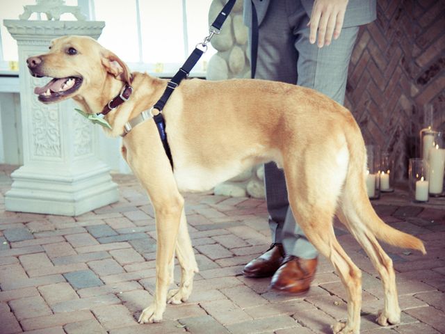 Henry and Christina's Wedding in Manahawkin, New Jersey 43