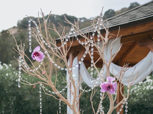 JJ He and Kaylie&apos;s Wedding in Sunol, California 15