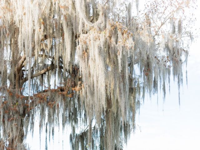 Kristine and Warner&apos;s Wedding in Winter Park, Florida 88