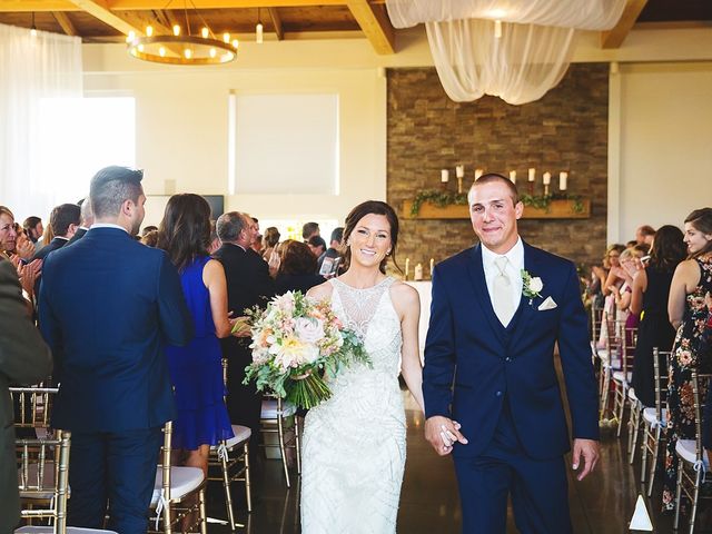 Ryan and Cara&apos;s Wedding in Champaign, Illinois 28