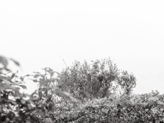 Lauren and Alex&apos;s Wedding in Santa Barbara, California 2