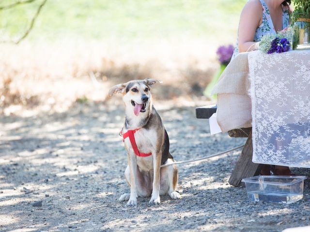 Jeremy and Melissa&apos;s Wedding in Glen Ellen, California 71