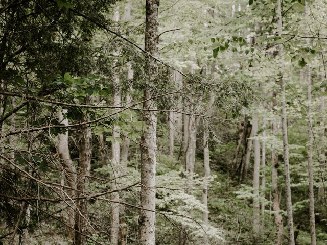 Matthew and Devon&apos;s Wedding in Gatlinburg, Tennessee 63