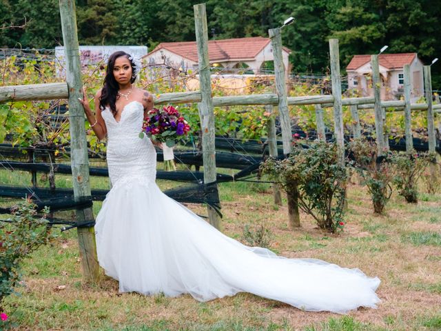 Andre and Leena's Wedding in Stafford, Virginia 79