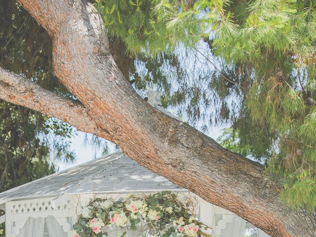 Janelle and Nick&apos;s Wedding in San Marcos, California 8