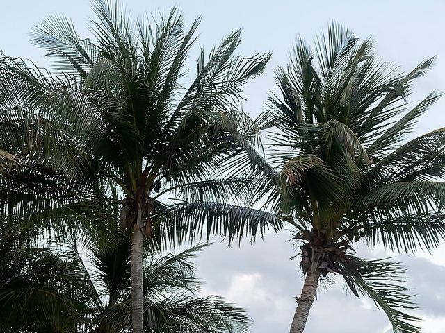 Tyler Hagan and Priscilla Lopez's Wedding in Cancun, Mexico 31