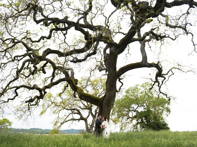 Glen and Mirna&apos;s Wedding in Napa, California 20